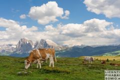 Seiser-Alm-Noord-Italie